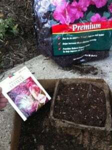 What to Plant in Your Edible April Garden Image